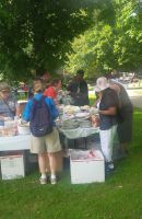 IMG_20160905_120808 copy.jpg